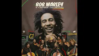 Bob Marley & The Wailers - Stir It Up (With the Chineke! Orchestra) (HD)