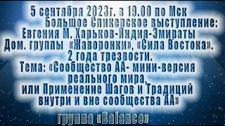 Сообщество АА - мини-версия реального мира. Евгения М. Скайп группа АА Balance.