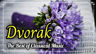 🎡 Dvorak: Serenade for Strings Op.22 - II. Tempo di Valse, Minuet