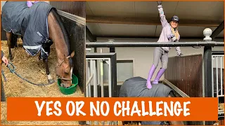 Yes or No challenge met George | PaardenpraatTV