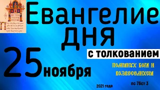 Евангелие дня с толкованием 25 ноября 2021 года