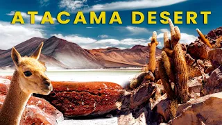 THE ATACAMA DESERT - why should you visit? | 5 days itinerary