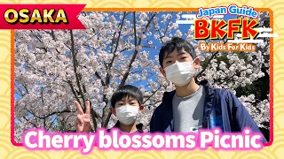 Cherry blossoms Picnic! Spring "Sakura Season" in Japan｜Travel Guide Enjoy Japan