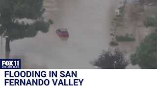 Flooding in LA's Sepulveda Basin