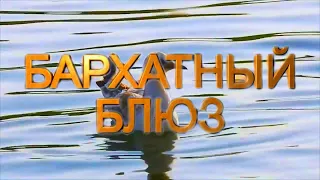 ⚡️Этот Блюз можно слушать не ВЫКЛЮЧАЯ!!! Бархатный Блюз! в 4К