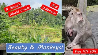 Bali Indonesia and Ubud Tour 2024