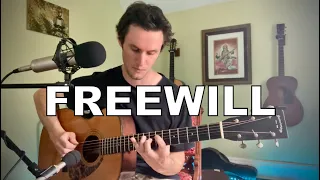 Rush - Freewill (acoustic cover)