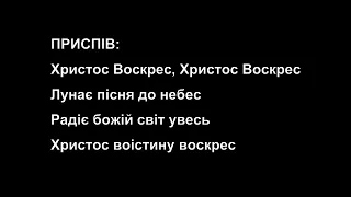 Христос воскрес земля радіє.    (мінус)