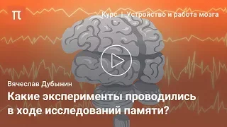 Мозговые центры обучения и памяти — Вячеслав Дубынин
