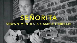 Shawn Mendes, Camila Cabello - Señorita (Ukulele Cover) - Play Along