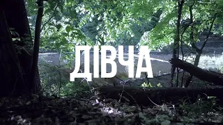 ZWYNTAR - Дівча (Divcha) [Official Lyrics Video]