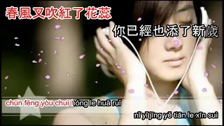 Karaoke Wang shi zhi neng hui wei 韓寶儀 ( Han bao yi )Chuyện cũ còn dư vị - 往事只能回味