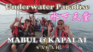 Underwater Paradise - Mabul & Kapalai | 水下天堂  - 马布岛和卡帕莱岛 | SNORKELING | SHUN SHUN WATER BUNGALOWS