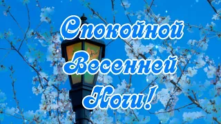 Спокойной Весенней ночи! С Весной!