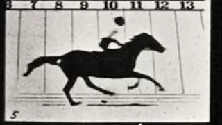 Meet the Art - Eadweard Muybridge Photographs of Motion