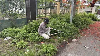 Volunteered to Clean School sidewalks for 10 years Without Anyone Cleaning the Grass