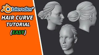 Blender Hair Curve - Make Hair in Blender Easy