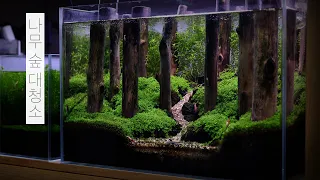 [ENG] 나무 숲 대청소 | 수초 트리밍 | 물멍 | Tree Forest | Plant Trimming | Aquarium | MulMung