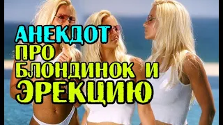 Анекдот про Блондинок, Эрекцию и Депутатов. Новые анекдоты.