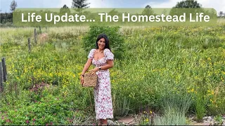 Day In The Life / Homestead Life Update / Plant Based