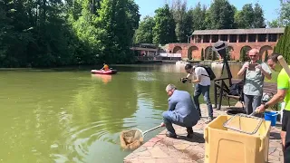 Карп и Осётр в Лопатинском парке