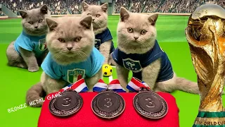 LETS UNLEASH CATS KITTENS WORLD CUP GAME 7! BRONZE MEDAL MATCH