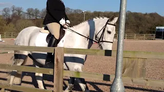 ECCTG East Cheshire Combined Training Group, Horse- Shaneey, Rider- Lucy Davies, Test- Novice 34