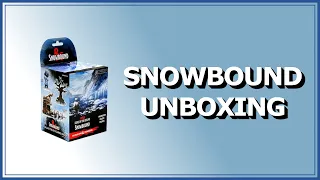 WizKids Icons of the Realms Snowbound Brick Unboxing