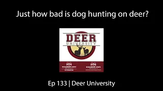 Just how bad is dog hunting on deer? | Ep 133: Deer University