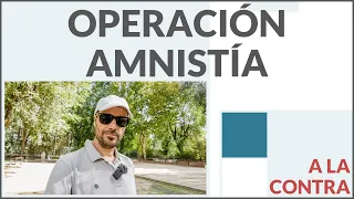 Operación amnistía