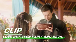 Clip: Dongfang Qingcang Is Becoming More Gentle | Love Between Fairy and Devil EP05 | 苍兰诀 | iQIYI