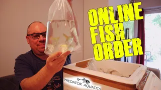 Tropical Fish Unboxing - New fish online delivery!