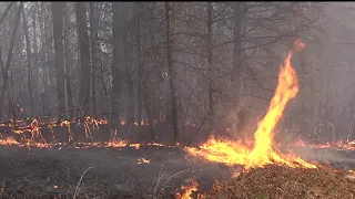 Learning About Burning: An Introduction to Prescribed Fire for NC Landowners