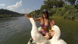 Fun GoPro Quack Feeding | MicBergsma