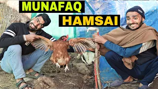 Munafaq Hamsai Kashmiri Funny Drama