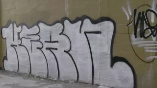 Graffiti vandal targeting Lakeland businesses