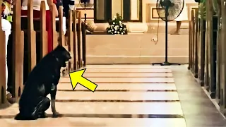 Hund weigert sich, Kirche zu verlassen. Pfarrer schaut auf die Kamera und sieht das Undenkbare!