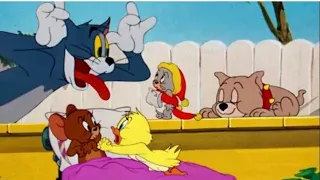 Tom & Jerry | Tuffy, the Cutest | Classic Cartoon Compilation |