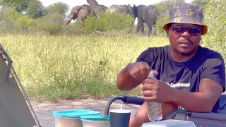 Zebra migration at Makgadikgadi Pans National Park (Khumaga)