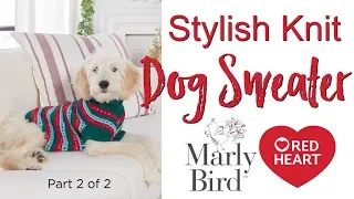 DIY Stylish Knit Dog Sweater for Extra Small, Small, Medium and Large Dogs Part 2 of 2