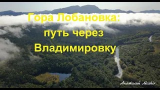 Александровск-Сахалинский район. Гора Лобановка: путь через Владимировку