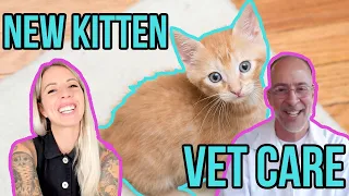 My Vet Shares Tips for Newly Adopted Kittens