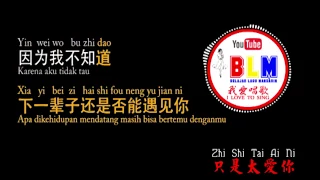 Zhi Shi Tai Ai Ni -  KARAOKE - 只是太爱你 - Karena terlalu mencintaimu - Pinyin  Subscribe for more video