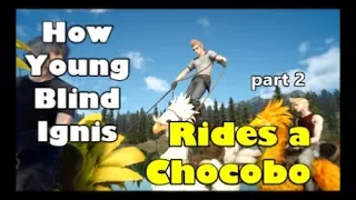 How Young Blind Ignis Rides a Chocobo - part 2 (FFXV OOB)