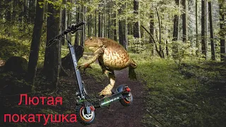 Лютая покатушка на электросамокатах