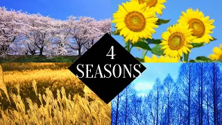 Four Seasons in a Rural  Bulgarian Village