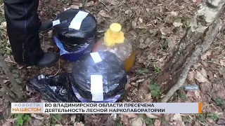 Во Владимирской области пресечена деятельность лесной нарколаборатории