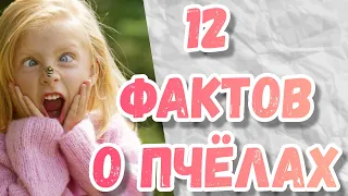 ЧТО МЫ ЗНАЕМ О ПЧЁЛАХ? УДИВИТЕЛЬНЫЕ  ФАКТЫ О ПЧЁЛАХ