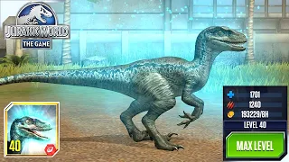 Jurassic world the game: Blue legend is never die /max evo/