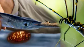 Catching Fish With Only A Spider Web & Kite | SPECIAL EPISODE!  | River Monsters